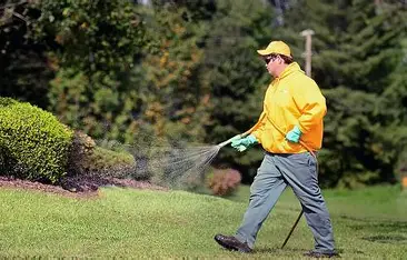  Weed Control Service